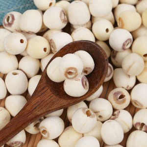 Certified Organic Dried Lotus Seeds for TCM & Supplements | Bulk Wholesale, GMP-Compliant Export