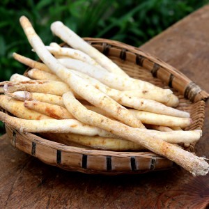 Wild Changium Smyrnioides Root | Lung Support & Immune Boost | Organic Certified | Custom Processing Supported