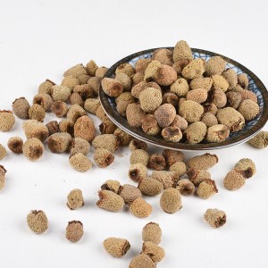 Premium Organic Raspberry Fruit (Rubus Chingii) – Chinese Herbal Decoction Pieces for Global Pharma & Health Supplements