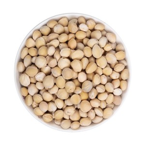 Premium Natural Cherry Pits for Herbal Medicine | Bulk Export Supplier
