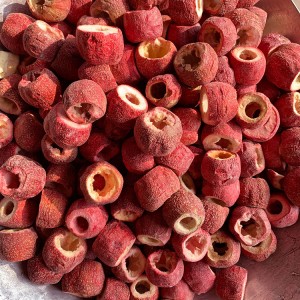 Premium Hawthorn Slices for Fruit Tea & Health Products | Bulk Supplier, Natural Ingredients, Global Export