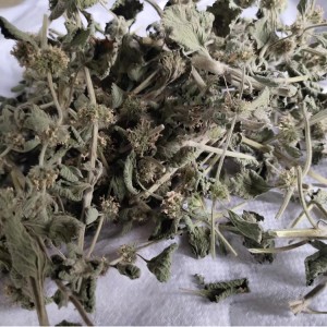 Premium Marrubium vulgare Herbal Slices | Organic Certified, Bulk Export for Pharma & Supplements