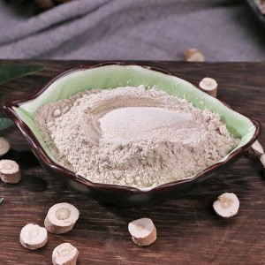 Premium Isatis Root Herbal Slices (Banlangen) – Export-Grade Raw Material for Pharmaceutical & Nutraceutical Manufacturing