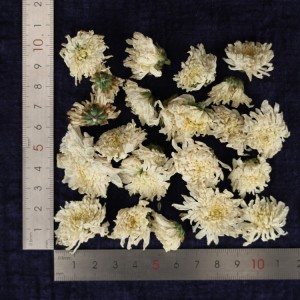 Premium Organic July Chrysanthemum Flowers – Bulk Export for Herbal Tea & Health Supplements