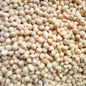 Premium Natural Cherry Pits for Herbal Medicine | Bulk Export Supplier