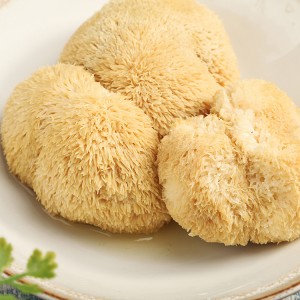 Premium Organic Hericium Erinaceus (Lion’s Mane Mushroom) – Certified Raw Material for Global Health Products & Culinary Innovation