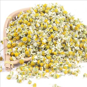 Premium Bulk Dried Roman Chamomile Flowers for Herbal Tea, Pharmaceuticals & Health Supplements