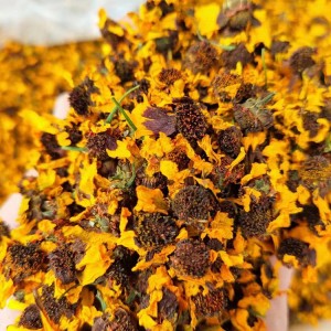 Premium Dried Snow Chrysanthemum Tea | Organic Bulk Herbal Ingredient for Health Products & Tea Blending