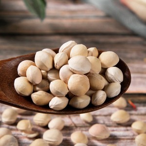 Premium Natural Cherry Pits for Herbal Medicine | Bulk Export Supplier