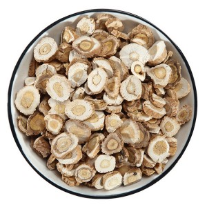 Premium Isatis Root Herbal Slices (Banlangen) – Export-Grade Raw Material for Pharmaceutical & Nutraceutical Manufacturing