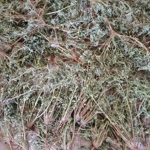 Wild Qinghai Geranium pseudosibiricum | Rheumatic Relief | Anti-inflammatory Herb | EU Organic Certified | Custom Extract Powder
