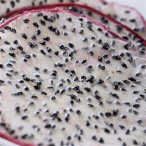 Premium Dried White Dragon Fruit Slices for Fruit Tea & Beverage Manufacturing