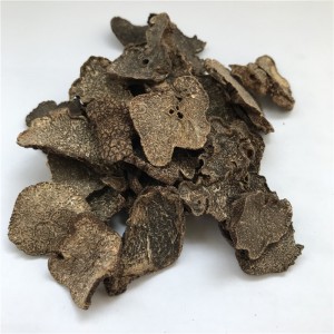 Premium Black Truffle Extract for Global Export – Medicinal & Culinary Superfood with Health Benefits