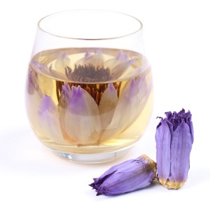 Premium Organic Dried Blue Lotus Flower Buds | Herbal Tea Raw Material | Bulk Wholesale for Relaxation & Stress Relief
