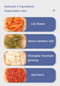 Premium Dual-Herbal Tea – Lily & Ginseng Blend (TCM-Inspired, Immune Support)