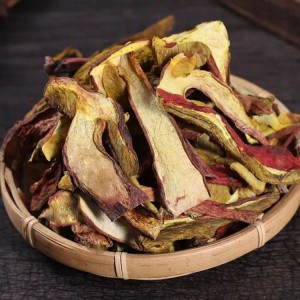 Premium Dried Boletus Mushrooms (Porcini) – Organic, Medicinal & Culinary-Grade for Global Export