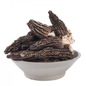 Premium Export-Grade Morel Mushrooms | Medicinal & Culinary Superfood for Global Buyers