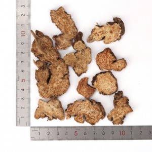 Premium Organic Atractylodes Rhizome Slices | GMP-Certified Herbal Extract for Pharmaceutical & Nutraceutical Manufacturing