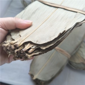 Premium Dried Bamboo Leaves for Herbal Tea & Chinese Medicine – Wholesale Bulk Supplier
