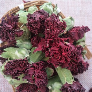 Premium Dried Carnation Flower Tea for Herbal Blends – Export-Grade Bulk Supplier