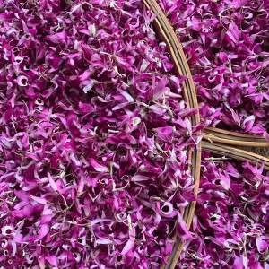 Premium Dried Dendrobium officinale Flower Tea – Bulk Export for Herbal Tea & Health Supplements