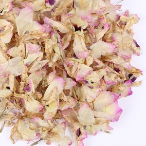 Premium Organic Dendrobium officinale Dried Flowers | Bulk Herbal Tea Ingredients for Health Supplements & Wellness Products