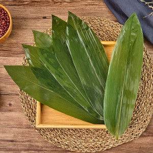 Premium Indocalamus Leaves for Herbal Tea & Traditional Medicine | Organic, Dried, Bulk Export