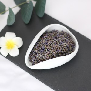 Premium Organic Dried Lavender Flower Tea – Bulk Export-Grade, Natural Relaxation & Aromatherapy Solution