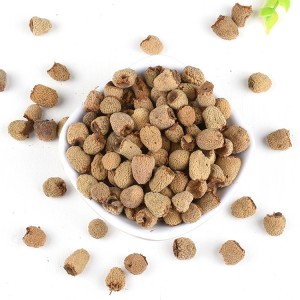 Premium Organic Raspberry Fruit (Rubus Chingii) – Chinese Herbal Decoction Pieces for Global Pharma & Health Supplements