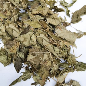 Premium Organic Raspberry Leaves (Rubus Idaeus) | Bulk Herbal Tea & Supplement Raw Material