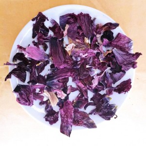 Premium Dried Violet Flower Tea for Export – 100% Natural, Bulk Herbal Tea Ingredients