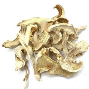 Premium Wild Matsutake Mushrooms | Organic, Nutrient-Rich Superfood for Culinary & Wellness Use
