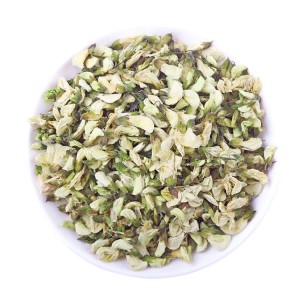 Premium Organic Dried Sophora Japonica Flowers for Herbal Tea & Health Products Export