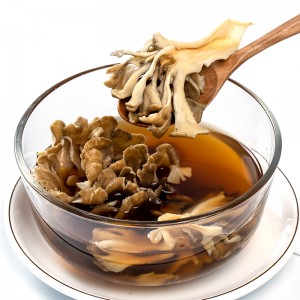 Premium Organic Maitake Mushroom (Grifola Frondosa) – Medicinal & Culinary Grade for Health Supplements, Global Export