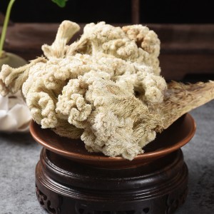 Premium Export-Grade Dried Cockscomb Flower for Herbal Tea & Health Supplements – Bulk Raw Material