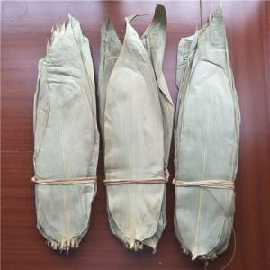 Premium Dried Bamboo Leaves for Herbal Tea & Chinese Medicine – Wholesale Bulk Supplier