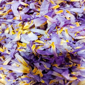 Premium Organic Dried Blue Lotus Petals for Herbal Tea, Skincare & Health Products – Bulk Wholesale Supplier