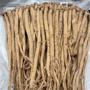 Premium Organic Dangshen Root | Direct from China | Natural Immunity Booster