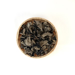 Premium Organic Black Fungus (Auricularia auricula) | Medicinal & Edible Superfood for Global Export