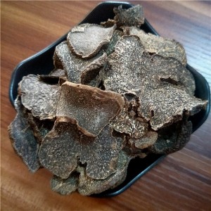 Premium Black Truffle Extract for Global Export – Medicinal & Culinary Superfood with Health Benefits