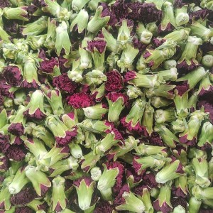 Premium Dried Carnation Flower Tea for Herbal Blends – Export-Grade Bulk Supplier