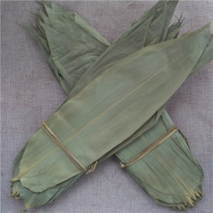 Premium Dried Bamboo Leaves for Herbal Tea & Chinese Medicine – Wholesale Bulk Supplier