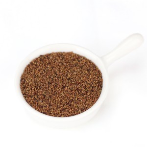 Premium Organic Cuscuta Chinensis Seeds – GMP-Certified Herbal Raw Material for Pharmaceuticals & Nutraceuticals