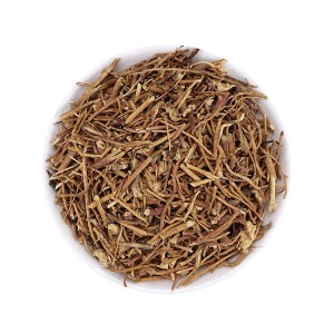Premium Cynanchum Atratum Slices | GMP-Certified Chinese Herbal Pieces for Pharmaceuticals & Health Supplements