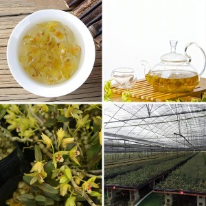 Premium Dried Dendrobium Officinale Flower Tea | Organic Herbal Tea Raw Material for Health & Wellness