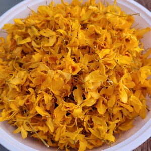 Premium Organic Dried Dendrobium Flower Tea – Wholesale Herbal Tea Raw Material for Health & Wellness