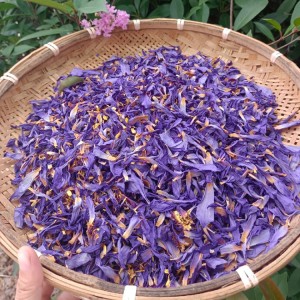 Premium Organic Dried Blue Lotus Petals for Herbal Tea, Skincare & Health Products – Bulk Wholesale Supplier