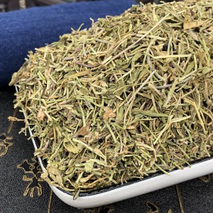 High-Quality Lobelia Chinensis Herbal Pieces | GMP-Certified | Bulk Export for Pharmaceuticals & Health Supplements