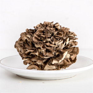 Premium Organic Maitake Mushroom (Grifola Frondosa) – Medicinal & Culinary Grade for Health Supplements, Global Export