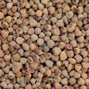 Premium Organic Raspberry Fruit (Rubus Chingii) – Chinese Herbal Decoction Pieces for Global Pharma & Health Supplements
